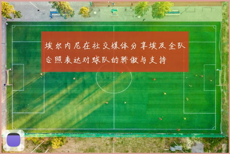 埃尔内尼在社交媒体分享埃及全队合照表达对球队的骄傲与支持