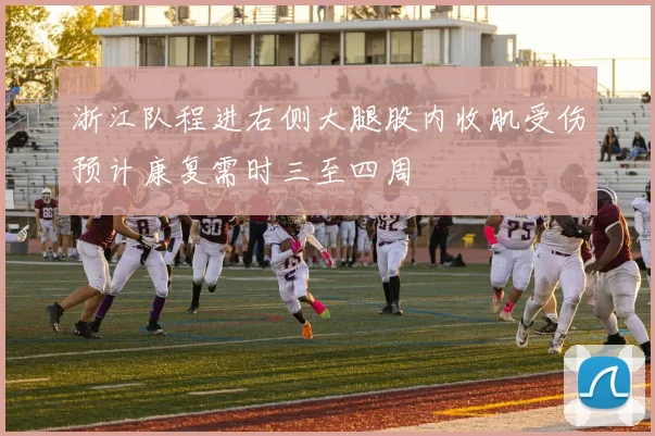 浙江队程进右侧大腿股内收肌受伤预计康复需时三至四周